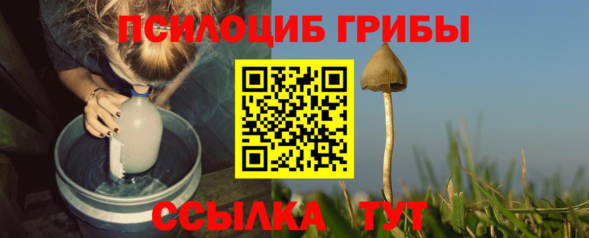Родники  Псилоцибиновые грибы GOLDEN TEACHER  Галлюциногенные грибы прущие грибы  Вход с VPN 
